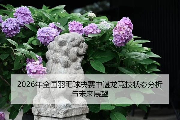 nian-quan-guo-yu-mao-qiu-jue-sai-zhong-chen-long-jing-ji-zhuang-tai-fen-xi-yu-wei-lai-zhan-wang-2-627.jpg