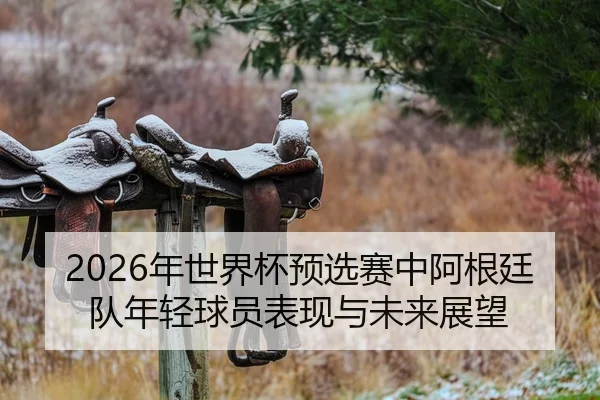 2026年世界杯预选赛中阿根廷队年轻球员表现与未来展望