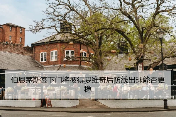 bo-en-mao-si-qian-xia-men-jiang-bi-de-luo-wei-qi-hou-fang-xian-chu-qiu-neng-fou-geng-wen-2-791.jpg