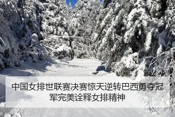 中国女排世联赛决赛惊天逆转巴西勇夺冠军完美诠释女排精神
